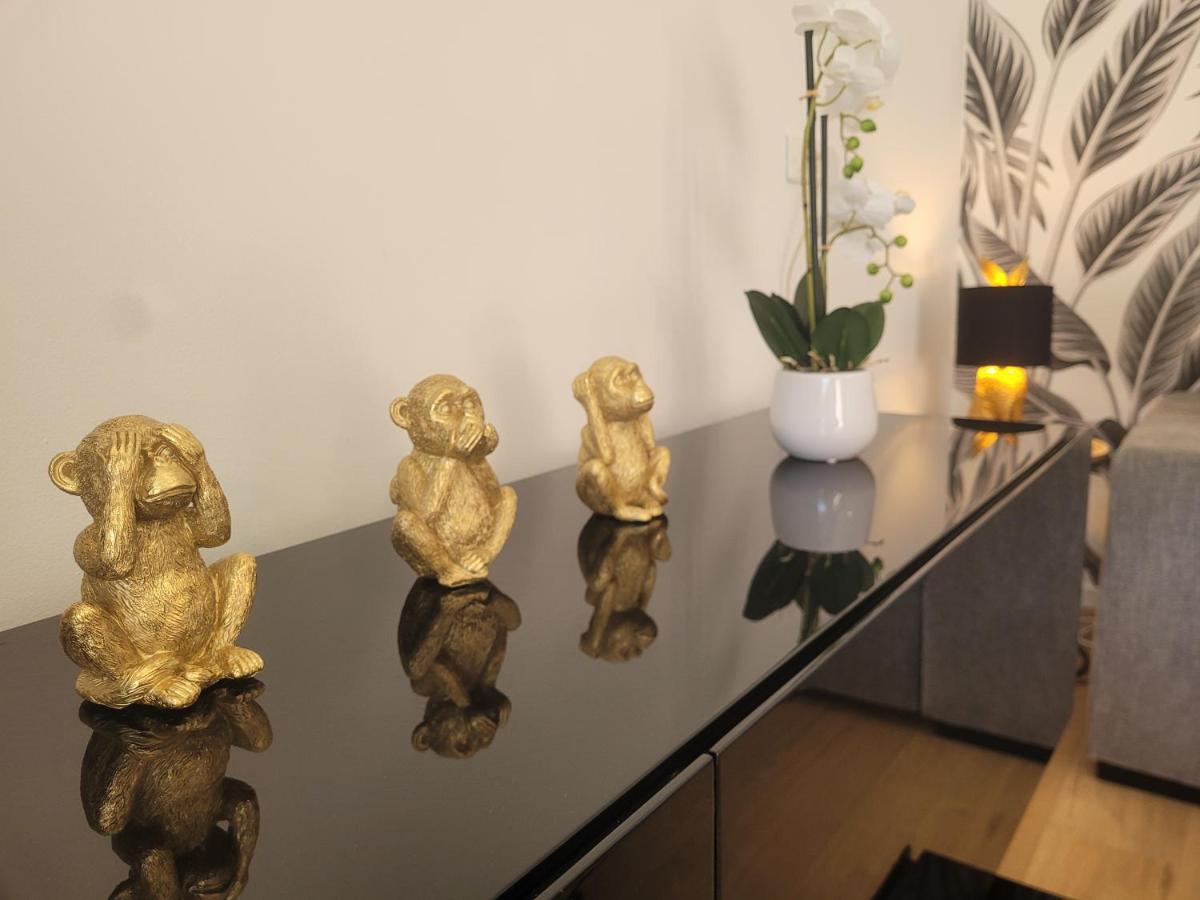 Le Cocooning - Saint Raphael - Wi-Fi - Piscine Apartment ภายนอก รูปภาพ